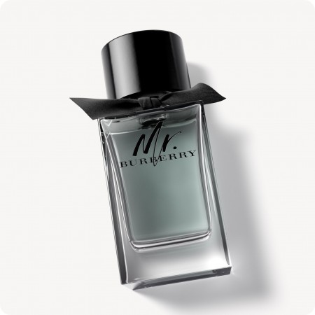 Burberry Mr. Burberry 21